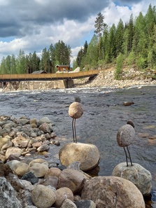 Ritakoski virtaa vapaana