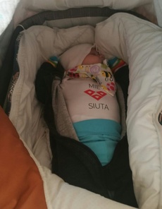 Sisu rotinoiden aihe