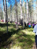 Sauvakävelyä Kruunupuiston maastossa