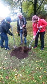 Puh.joht Annika, vara.puh.joh. Sirkku ja kaupunginpuutarhuri Hannu Tolonen