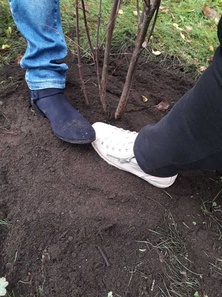 Päivin tennari vs. kaupunginpuutarhurin bootsi